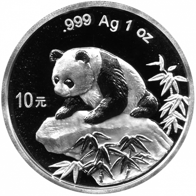 10 Yuan Silber China Panda 1999