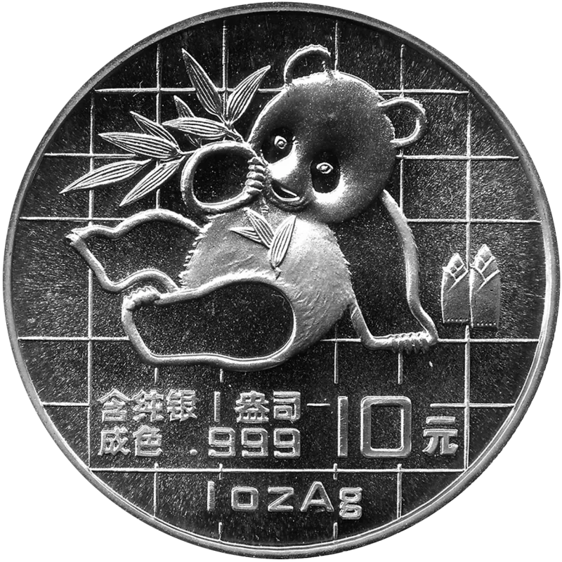 10 Yuan Silber China Panda 1989